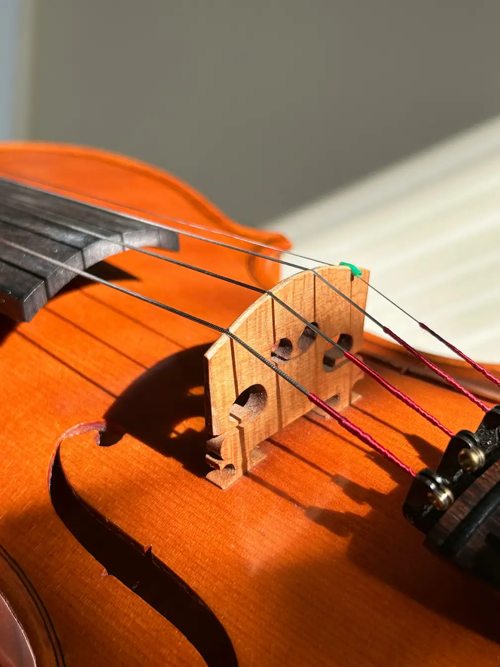 Gros plan sur le chevalet d'un instrument à cordes