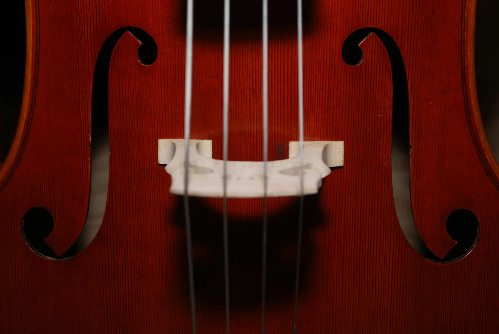 Ouïe percée dans la table d'un instrument à cordes