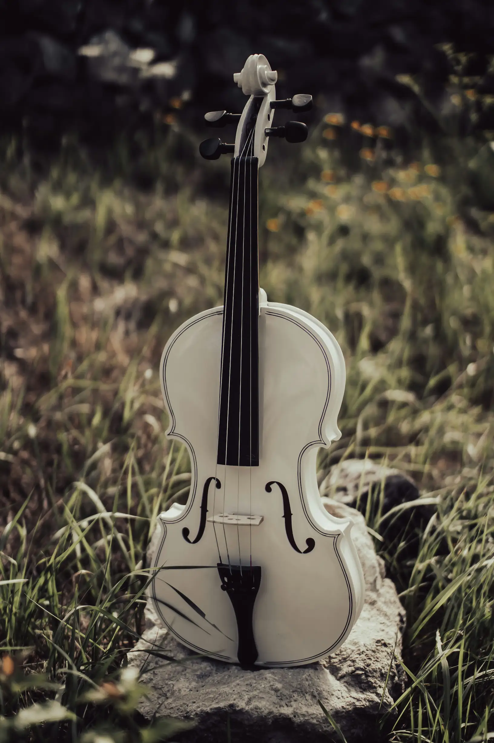 Violon Montagne Noire, modèle Guarneri del Gesù