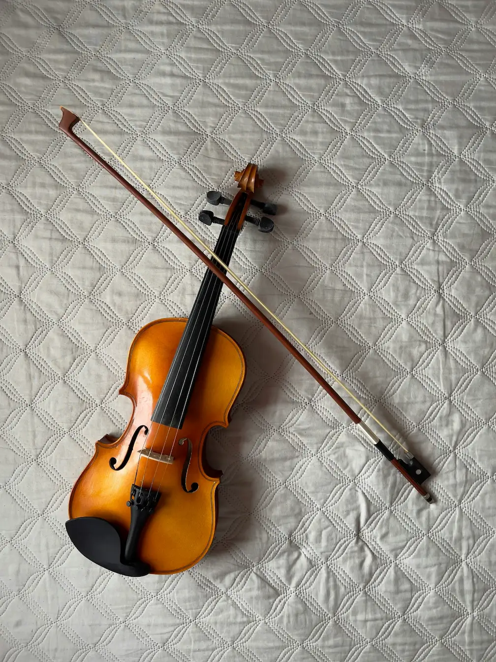 Violon Garonne, vernis ambré