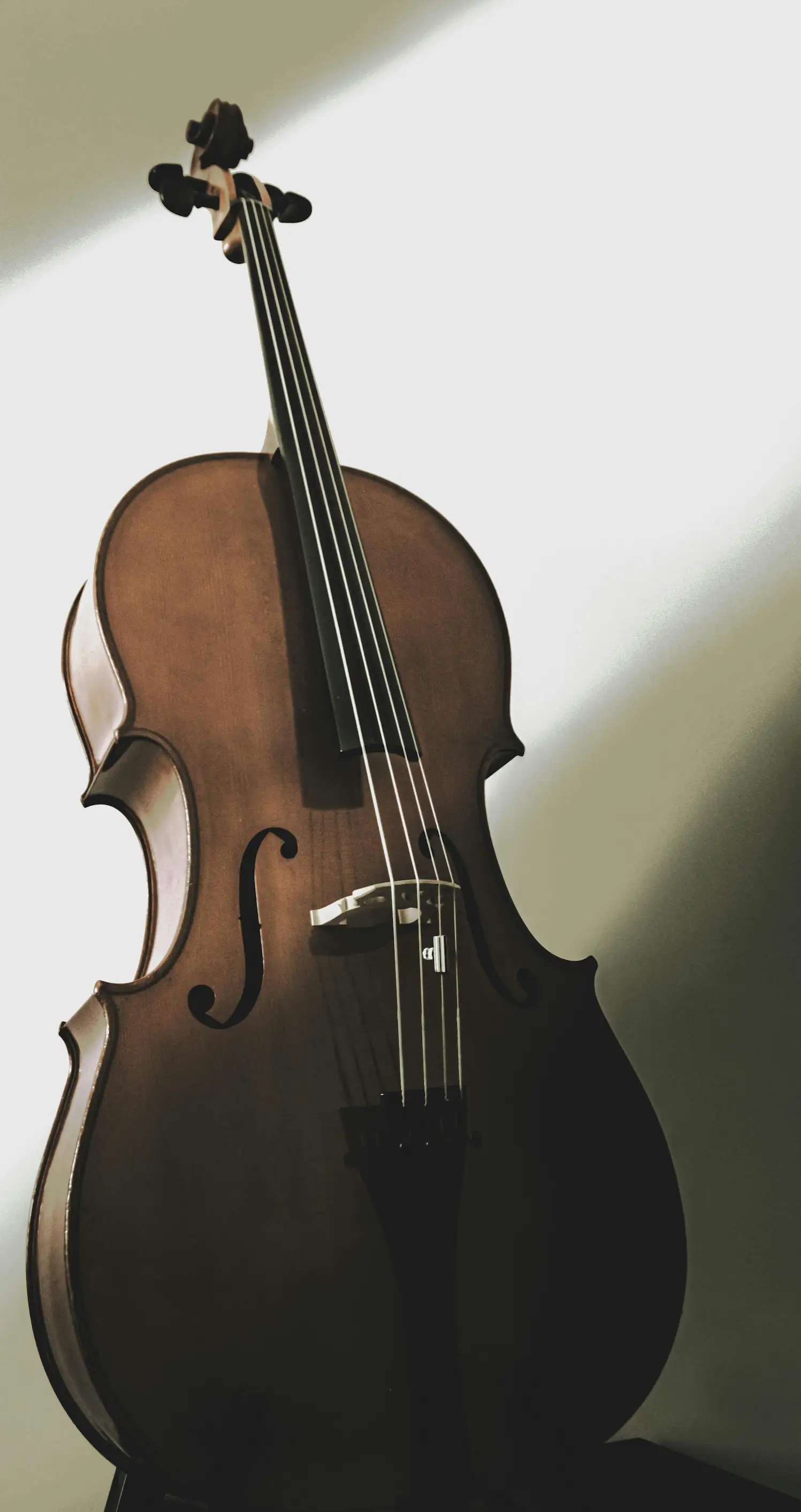 Violoncelle Sidobre, terminé