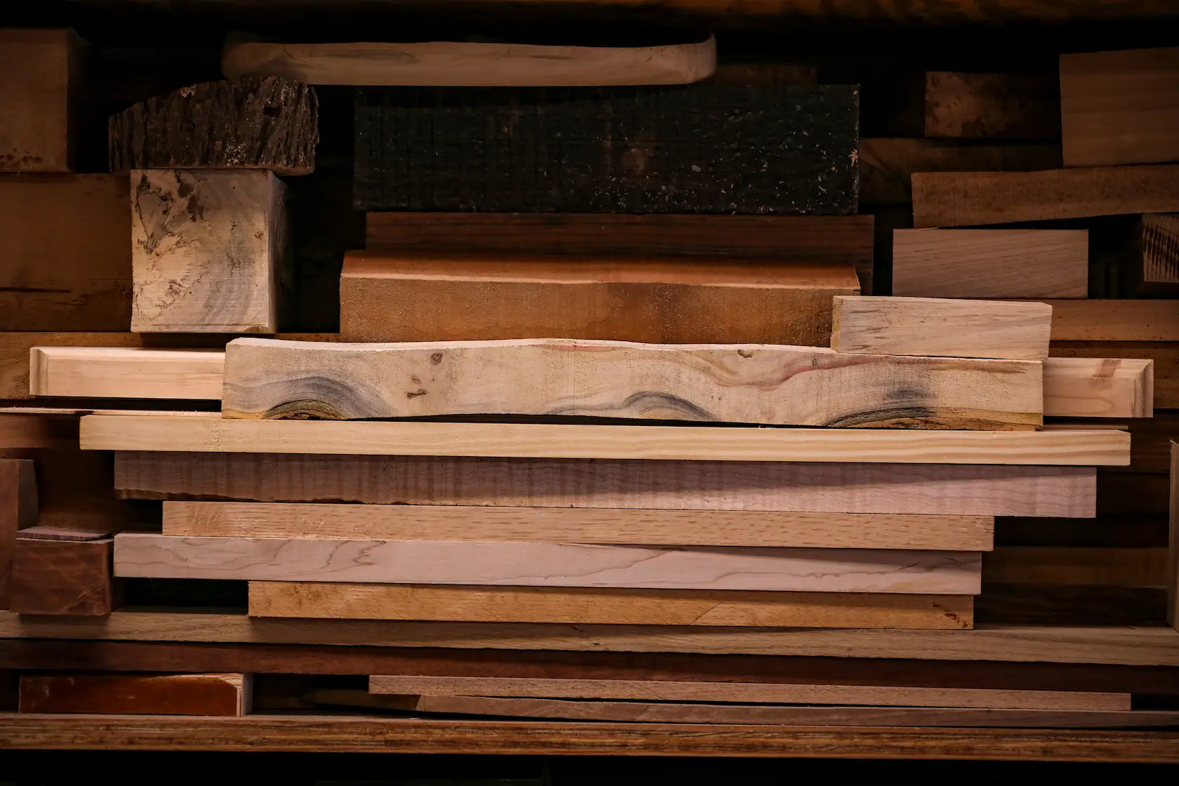 Gros plan sur des essences de bois sélectionnées pour la lutherie