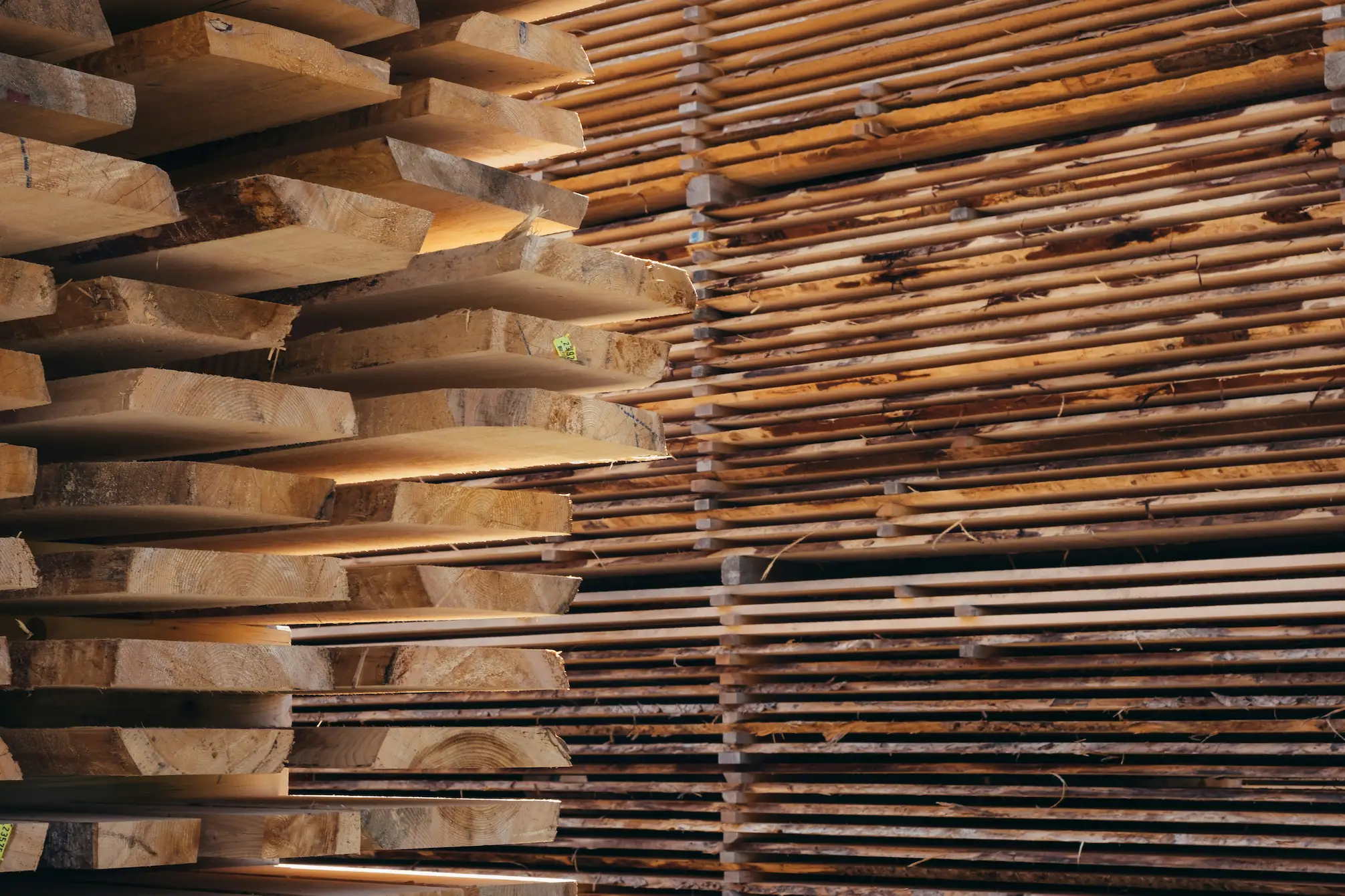Planches d'épicéa sélectionnées pour leur grain régulier
