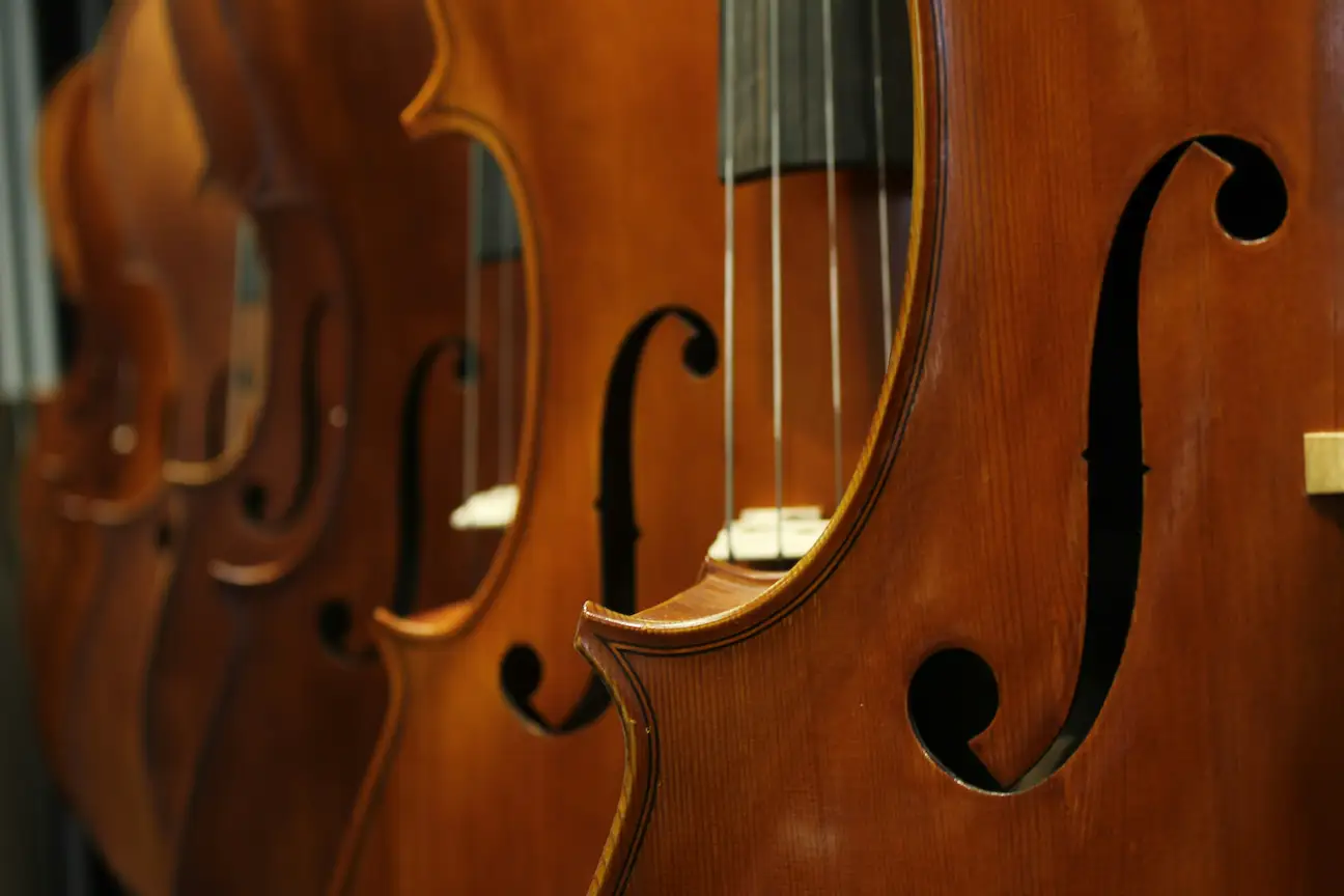 Examen à la loupe d'un instrument ancien, étiquette intérieure visible